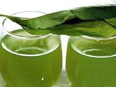 Щавелевый кисель