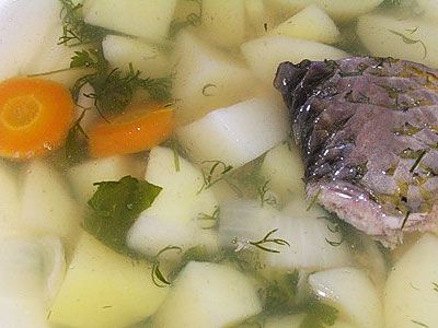 Щи зеленые с рыбным филе